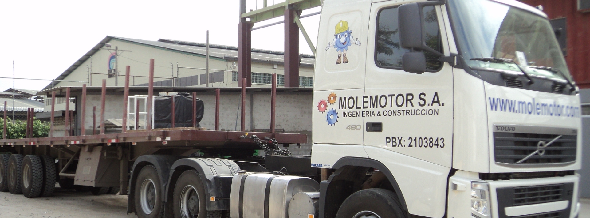 desempe�o molemotor
